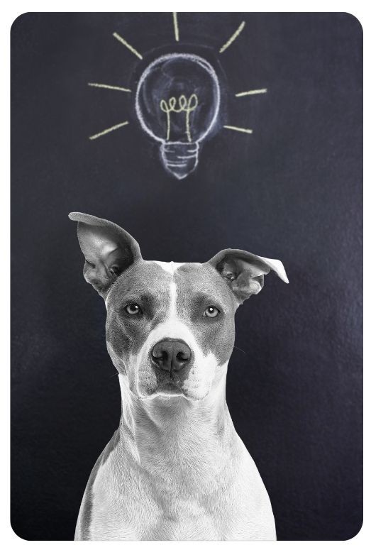 Návrh bez názvu - 2026-01-04T211102.910